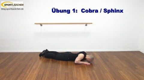 core-training-cobra-sphinx-2