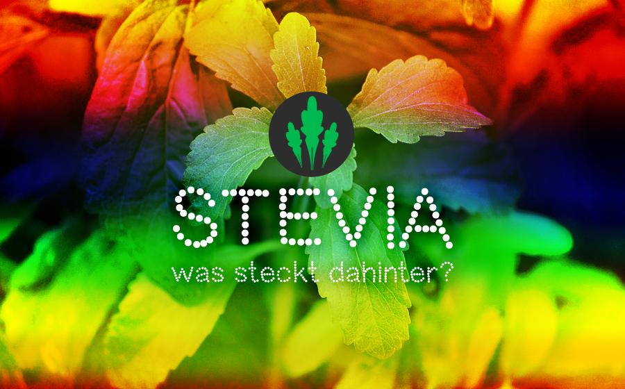 Süßstoff Stevia: Was steckt dahinter?