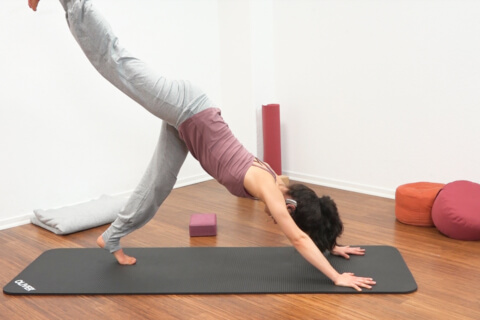 Yoga für den Bauch Fortgeschritten 6a